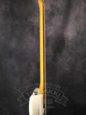 Ibanez J-LINE TM730_8