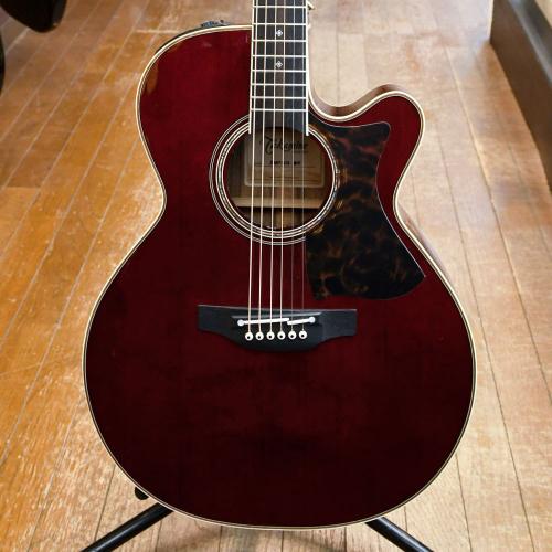 Takamine DMP50S