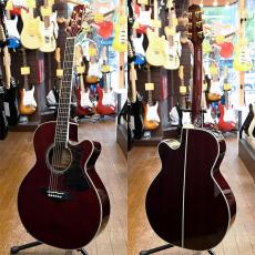 Takamine DMP50S_2