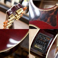 Takamine DMP50S_3