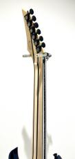 Ibanez RG8870 / Sodalite_7