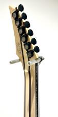 Ibanez RG8870 / Sodalite_8