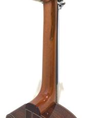 ASTURIAS TSUJI S-CW_8