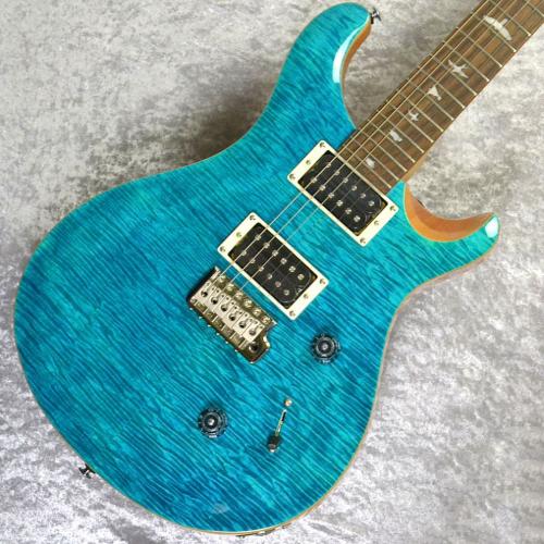 Paul Reed Smith [PRS] SE CUSTOM 24【Blue Matteo/Natural Back】