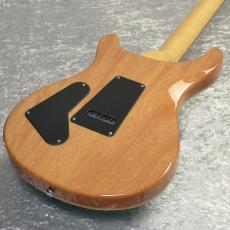 Paul Reed Smith [PRS] SE CUSTOM 24【Blue Matteo/Natural Back】_7