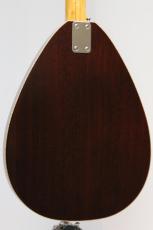 VOX VBW-3500 SB (Sunburst) 【アウトレット特価品】【3.55kg】_3