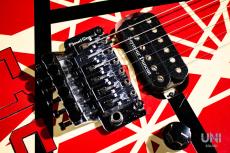 Edwards EVH 5150 Replica_4