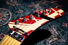 Edwards EVH 5150 Replica_7
