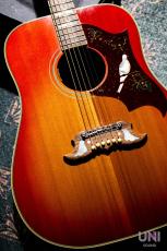Gibson 1960's DOVE / 2014