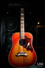 Gibson 1960's DOVE / 2014_2