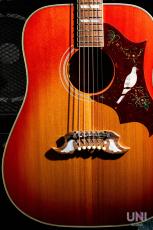 Gibson 1960's DOVE / 2014_3