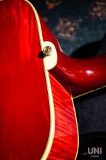 Gibson 1960's DOVE / 2014_7