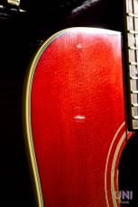 Gibson 1960's DOVE / 2014_10
