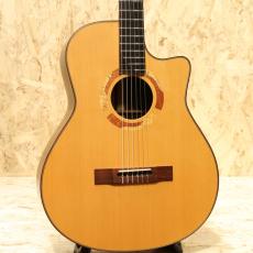 Yokoyama Guitars ARG-GR 2010