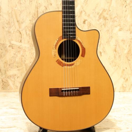 Yokoyama Guitars ARG-GR 2010