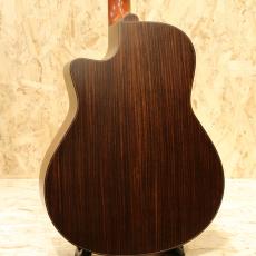 Yokoyama Guitars ARG-GR 2010_2