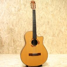 Yokoyama Guitars ARG-GR 2010_3