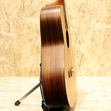 Yokoyama Guitars ARG-GR 2010_4