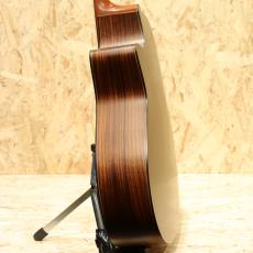 Yokoyama Guitars ARG-GR 2010_5
