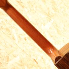 Yokoyama Guitars ARG-GR 2010_7