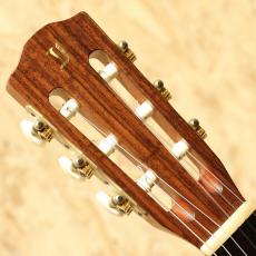 Yokoyama Guitars ARG-GR 2010_8