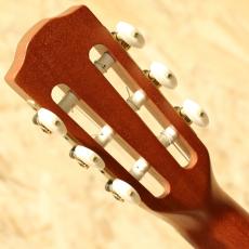 Yokoyama Guitars ARG-GR 2010_9