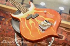 GENE SIMMONS Punisher Bass Fire Custom (Flame)_3