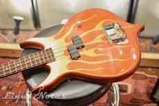 GENE SIMMONS Punisher Bass Fire Custom (Flame)_5
