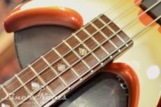 GENE SIMMONS Punisher Bass Fire Custom (Flame)_6