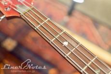 GENE SIMMONS Punisher Bass Fire Custom (Flame)_7