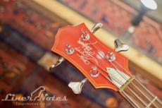 GENE SIMMONS Punisher Bass Fire Custom (Flame)_8