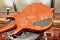 GENE SIMMONS Punisher Bass Fire Custom (Flame)_9