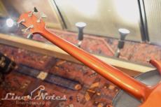 GENE SIMMONS Punisher Bass Fire Custom (Flame)_10
