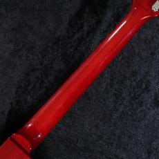 Tokai 【ゼブラピックアップ】LS-101QZ TK #2652969【4.23kg】_9
