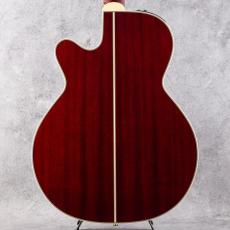 Takamine DMP551C WR_2