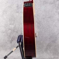 Takamine DMP551C WR_4