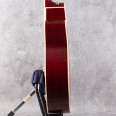 Takamine DMP551C WR_5