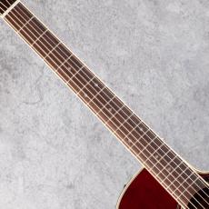 Takamine DMP551C WR_6
