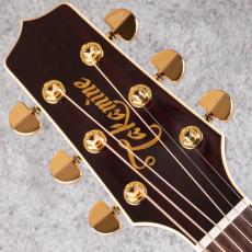 Takamine DMP551C WR_8