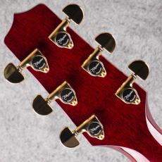 Takamine DMP551C WR_9