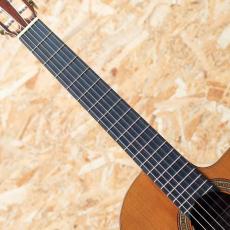 Antonio Sanchez [アントニオ・サンチェス] EG-5 Cedar 2014_6