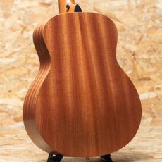 Taylor GS mini_2