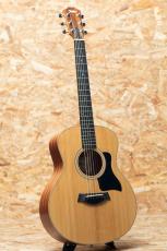 Taylor GS mini_3