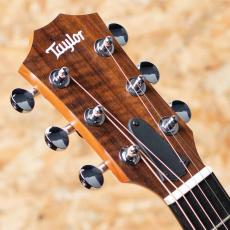 Taylor GS mini_4