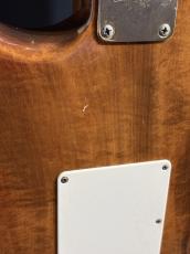 ESP Custom Order ST Type_9