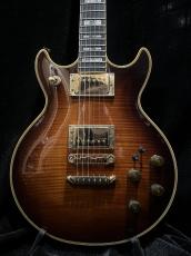 Ibanez AR300