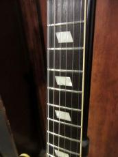 Epiphone Limited Edition Elitist "1966" Custom Riviera_6