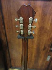 Epiphone Limited Edition Elitist "1966" Custom Riviera_8