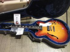 Epiphone Limited Edition Elitist "1966" Custom Riviera_11