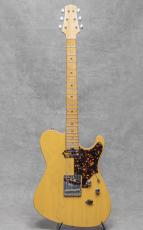 Asher Guitars T Deluxe / 2017_2